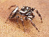  ( - CCDB-50480-31)  @11 [ ] nrr (2024) Unspecified Unspecified