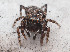  ( - CCDB-50480-24)  @11 [ ] nrr (2024) Unspecified Unspecified