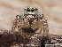  ( - CCDB-50480-47)  @11 [ ] nrr (2025) Unspecified Unspecified