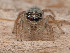  ( - CCDB-50480-48)  @11 [ ] nrr (2025) Unspecified Unspecified