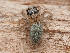  ( - CCDB-50480-48)  @11 [ ] nrr (2025) Unspecified Unspecified
