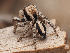  ( - CCDB-50480-56)  @11 [ ] nrr (2025) Unspecified Unspecified