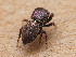  ( - CCDB-50480-55)  @11 [ ] nrr (2025) Unspecified Unspecified