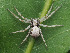  ( - CCDB-50480-63)  @11 [ ] nrr (2025) Unspecified Unspecified
