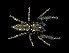  ( - CCDB-50480-11)  @11 [ ] by-nc (2025) Ben Gruver Unspecified