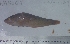  ( - HASE-04)  @11 [ ] Unspecified (default): All Rights Reserved  Unspecified Unspecified