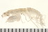  ( - 08PROBE-0342)  @14 [ ] CreativeCommons - Attribution (2010) Unspecified Centre for Biodiversity Genomics