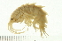  ( - NVAMP-0009)  @14 [ ] CreativeCommons - Attribution (2008) Unspecified Centre for Biodiversity Genomics
