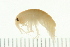  ( - NVAMP-0024)  @13 [ ] CreativeCommons - Attribution (2008) Unspecified Centre for Biodiversity Genomics