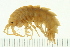  ( - NVAMP-0035)  @14 [ ] CreativeCommons - Attribution (2008) Unspecified Centre for Biodiversity Genomics