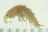  ( - NVAMP-0090)  @14 [ ] CreativeCommons - Attribution (2008) Unspecified Centre for Biodiversity Genomics