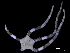  ( - UNAL_CARIBE_CECIMAR:EQUINODERMOS_SEAFLOWER2016:0015)  @11 [ ] CreativeCommons - Attribution Non-Commercial (2018) Invemar - Universidad Nacional de Colombia Invemar - Universidad Nacional de Colombia