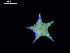  ( - DSB_3353)  @11 [ ] Copyright (2019) Magdalini Christodoulou German Center for Marine Biodiversity Research