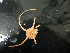  ( - DSB_36)  @11 [ ] Copyright (2020) Clara Rodrigues University of Aveiro, Centre for Environmental and Marine Studies