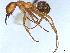  ( - BIOUG62753-A03)  @11 [ ] CreativeCommons - Attribution (2021) CBG Photography Group Centre for Biodiversity Genomics