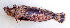  ( - CD15117-23)  @11 [ ] Copyright (2019) Jean-Dominique Durand Institut de Recherche pour le Développement