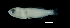  ( - HB-250417-42A)  @11 [ ] Copyright (2017) Manh Hung Pham University of Science, VNUHCMUS