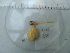  ( - CEGAR 138)  @11 [ ] Unspecified (default): All Rights Reserved  Unspecified Unspecified