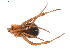  ( - BIOUG01980-A04)  @12 [ ] Copyright  G. Blagoev 2012 Unspecified