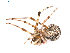  ( - BIOUG01980-A08)  @12 [ ] Copyright  G. Blagoev 2012 Unspecified