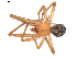  ( - BIOUG01980-B01)  @14 [ ] Copyright  G. Blagoev 2012 Unspecified