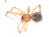  ( - BIOUG01980-B03)  @14 [ ] Copyright  G. Blagoev 2012 Unspecified