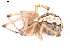  ( - BIOUG01980-C05)  @12 [ ] Copyright  G. Blagoev 2012 Unspecified