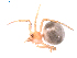  ( - BIOUG01980-C10)  @12 [ ] Copyright  G. Blagoev 2012 Unspecified