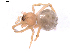  ( - BIOUG01980-D01)  @13 [ ] Copyright  G. Blagoev 2012 Unspecified