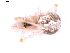  ( - BIOUG01980-D04)  @12 [ ] Copyright  G. Blagoev 2012 Unspecified