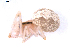  ( - BIOUG01980-D06)  @12 [ ] Copyright  G. Blagoev 2012 Unspecified