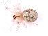  ( - BIOUG01980-E12)  @12 [ ] Copyright  G. Blagoev 2012 Unspecified
