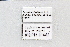  ( - MEPN_28442)  @11 [ ] CreativeCommons - Attribution (2014) Adrian Troya MEPN