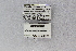  ( - MEPN_2927)  @11 [ ] CreativeCommons - Attribution (2014) Adrian Troya MEPN