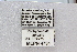  ( - MEPN_4791)  @11 [ ] CreativeCommons - Attribution (2014) Adrian Troya MEPN