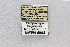  ( - MEPN_4864)  @11 [ ] CreativeCommons - Attribution (2014) Adrian Troya MEPN
