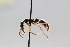  ( - MEPN_4864)  @11 [ ] CreativeCommons - Attribution (2014) Adrian Troya MEPN
