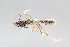  ( - MEPN_4875)  @11 [ ] CreativeCommons - Attribution (2014) Adrian Troya MEPN
