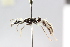  ( - MEPN_4877)  @11 [ ] CreativeCommons - Attribution (2014) Adrian Troya MEPN
