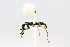  ( - MEPN_5032)  @13 [ ] CreativeCommons - Attribution (2014) Adrian Troya MEPN