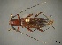  (Ironeus duplex - CER-084)  @11 [ ] Unspecified (default): All Rights Reserved  Unspecified Unspecified