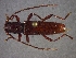  ( - CER-102)  @14 [ ] Unspecified (default): All Rights Reserved  Unspecified Unspecified
