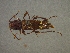  ( - CER-161)  @12 [ ] Unspecified (default): All Rights Reserved  Unspecified Unspecified