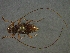  ( - CER-185)  @12 [ ] Unspecified (default): All Rights Reserved  Unspecified Unspecified