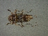  ( - CER-221)  @13 [ ] Unspecified (default): All Rights Reserved  Unspecified Unspecified