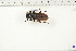  ( - BC-TB6310)  @12 [ ] Copyright (2010) Thierry Bouyer Unspecified