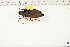  ( - BC-TB6311)  @13 [ ] Copyright (2010) Thierry Bouyer Unspecified