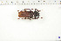  ( - BC-TB6313)  @11 [ ] Copyright (2010) Thierry Bouyer Unspecified