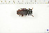 ( - BC-TB6318)  @13 [ ] Copyright (2010) Thierry Bouyer Unspecified