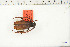  ( - BC-TB6348)  @11 [ ] Copyright (2010) Thierry Bouyer Unspecified